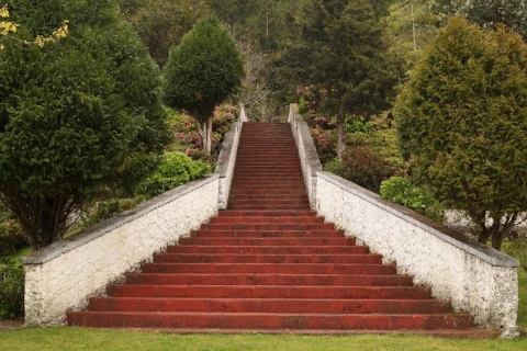 Neuropsykologinen kuntoutus - Portaat