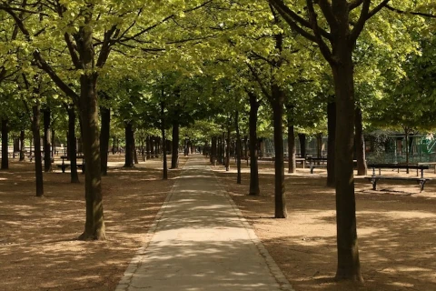 Työnohjaus - Tiedon polku puistossa