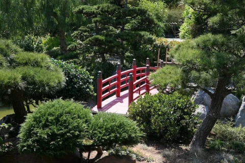 Neuropsykologinen kuntoutus - Silta